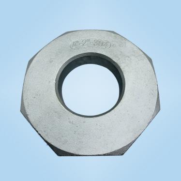 100x50補(bǔ)芯鑄件