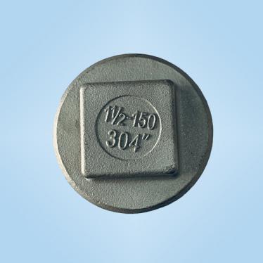 溫州版40塞頭鑄件