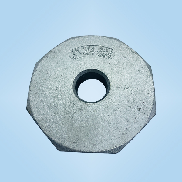 80x20補(bǔ)芯鑄件